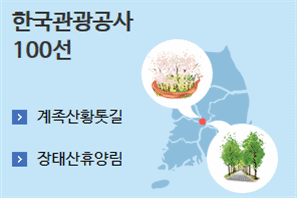 대전관광
