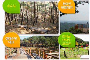 울산편백산림