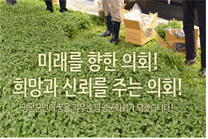 양평군의회