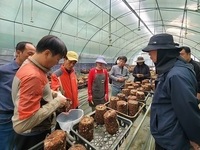 무주군, 귀농귀촌 정책 눈길