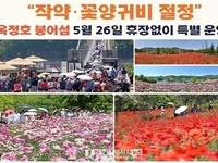 옥정호 붕어섬 생태공원, 전국 봄꽃명소로 인기