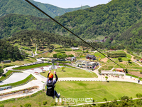정읍시, '구절초 짚와이어' 27일 개장!