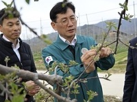 장수군, 이상기온 과수 저온피해 적극 대응