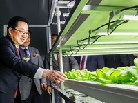대전시, 폐지하보도에 첨단 미래농업 심다