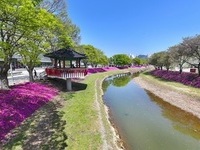 순창군, 민선 8기 공약이행률 87.5% 달성