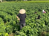 정읍시-필리핀 나익시, 계절근로자 합동 모니터링 실시