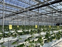 상주시, 농업 현장 맞춤 낮은단계 스마트팜, 실증연구 시작