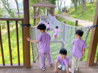 순창군, 자연 속에서 배우는 유아숲 체험 프로그램 운영