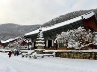 고창군, 사계절 휴양명소 선운산도립공원 만든다