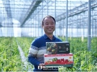 우리토마토농장 김정용 대표, 대한민국 최고농업기술명인 선정