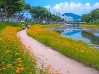 순창 양지천, 사계절 꽃길 품은 관광 명소로 발돋움