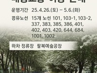 전주시내버스 타고 전주 이팝나무 축제 즐겨요