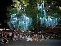 여름 절정의 8월, 군산이 축제로 물든다.