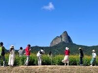 2025 진안고원 마이산 가을꽃 축제 6천명 방문으로 성료 