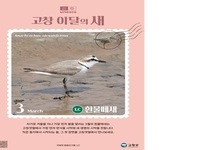 고창군, '흰물떼새' 3월 고창갯벌 이달의 새 선정