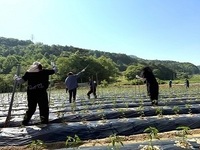 진안군 영농철 농촌일손돕기 총력 추진