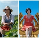 충남도, 지역축제 홍보 