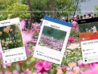 임실군 봄꽃 SNS 콘텐츠‘대박’…한 달 만에 30만 뷰 돌파