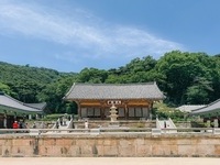 여름휴가, 홍성과 예산에서 즐기자