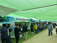 고창군, '2025 고창 갯벌축제' 개막 