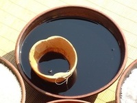 순창군, 간장의 항치매·혈당 개선 효과 세계에 알려