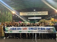부안군, 지역 농특산품 '금선' 감자 첫 출하
