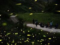  무주군, 2026년 지방소멸대응기금 80억 원 확보