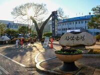 진안군, 소상공인 카드수수료 최대 연 30만원 지원